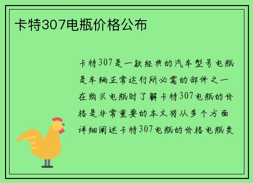 卡特307电瓶价格公布